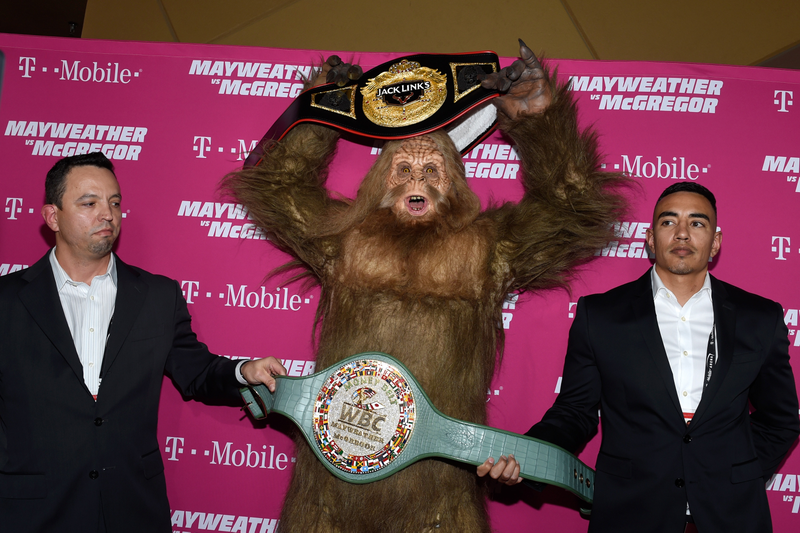 David Becker/Getty Images